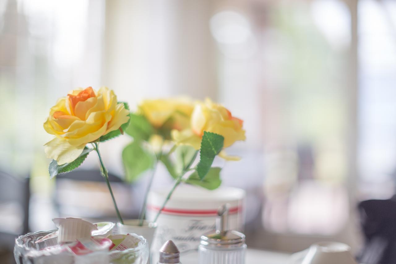 Pension Blumen-Villa Schneverdingen Zewnętrze zdjęcie